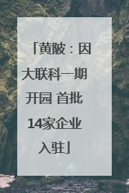 黄陂：因大联科一期开园 首批14家企业入驻